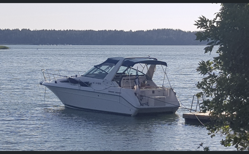 Sea Ray 290 SDA-kuva-2